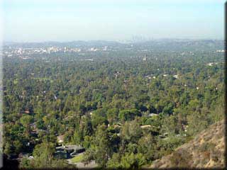 View into San Gabriel Valley from Altadena Crest Trail