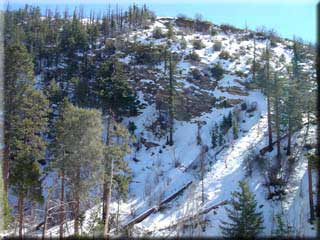 Highway 39 - snow covered hillside