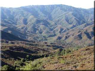View South from Upper Tujunga