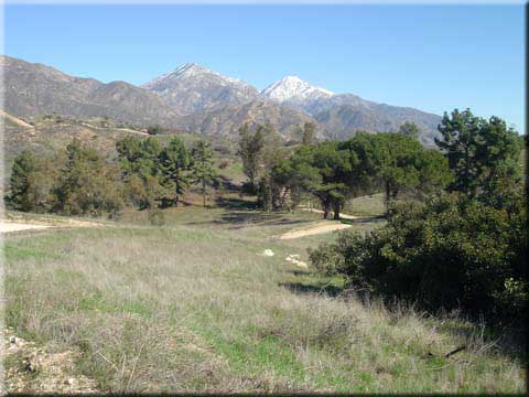Marshall Canyon - view looking towards Mount Baldy