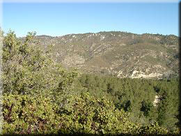 View towards Mount Gleason