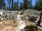 6.85 miles: stream bed (dry) crossing