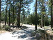 6.91 miles: right onto campsite paved access road